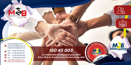 ISO 45003 _ Le référentiel stratégique pour allier bien-être au travail et performance durable
